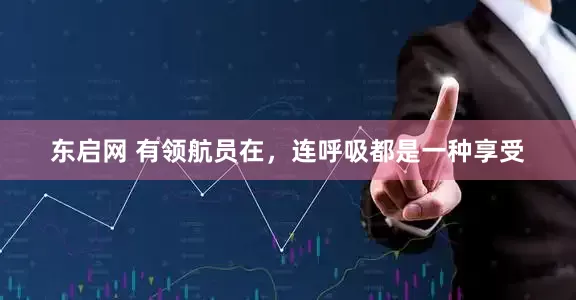 东启网 有领航员在，连呼吸都是一种享受
