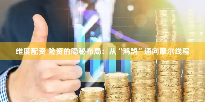 维度配资 险资的隐秘布局：从“鸿鹄”通向摩尔线程